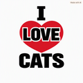 I love cats ladies T shirt